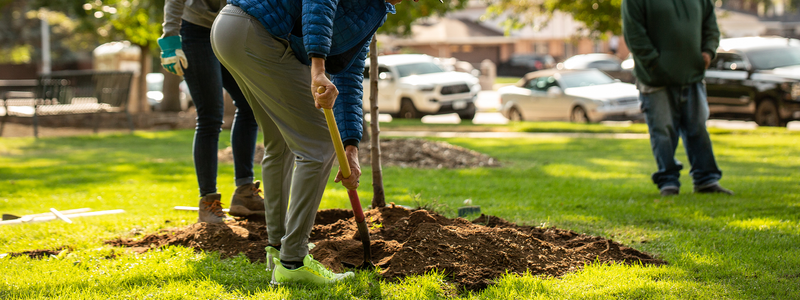 7 Fulfilling Jobs that Help the Environment