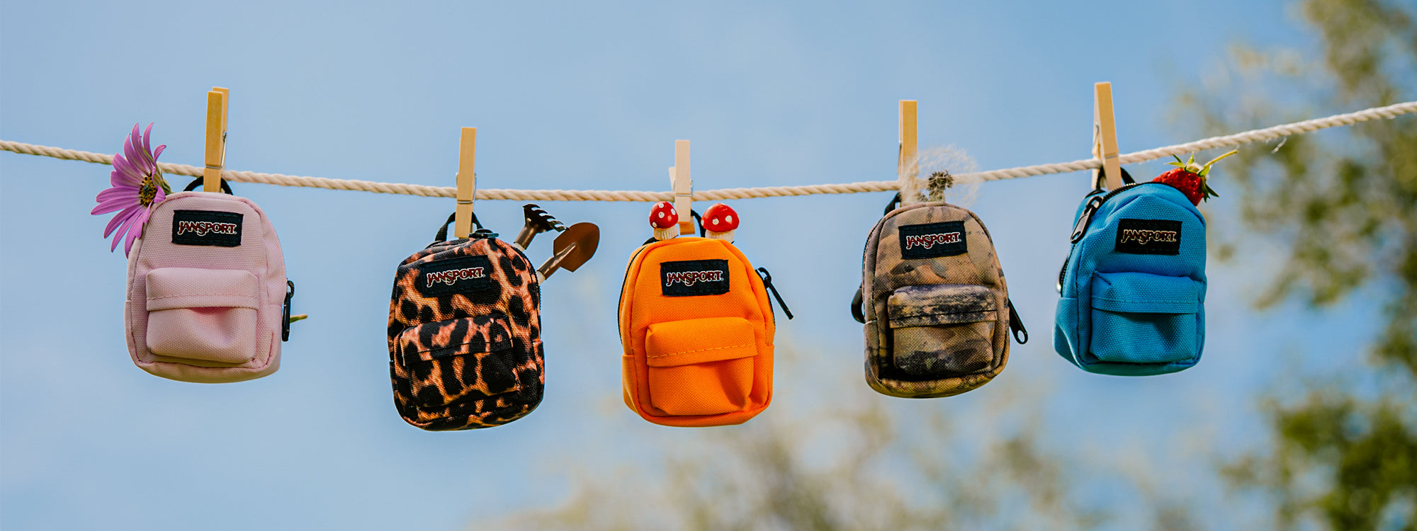What Are the Different Types of Backpacks?