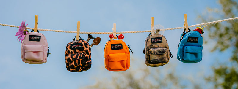 What Are the Different Types of Backpacks?
