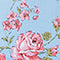 Garden Roses Hydrangea