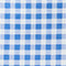 Gingham Picnic Bussin Blue