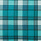 Plaid Vibes Totally Teal
