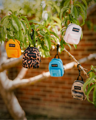 Start Your Charm Stack