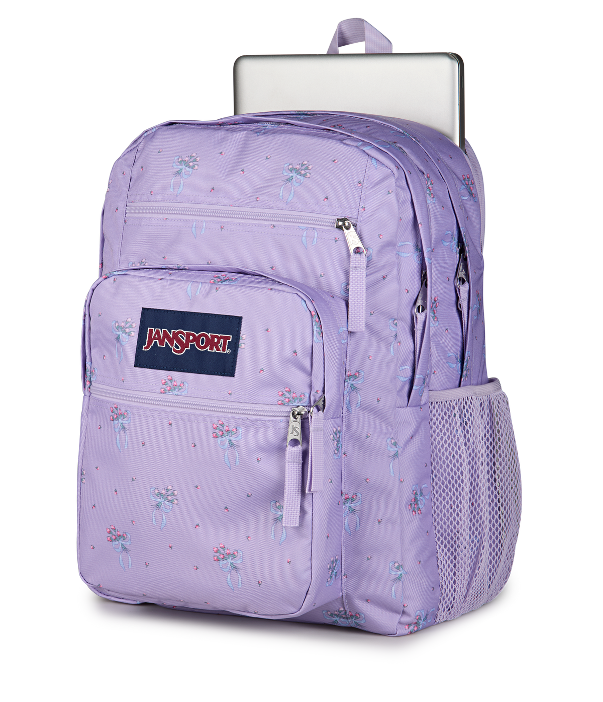 Big Student Faded Sage - ver - 6