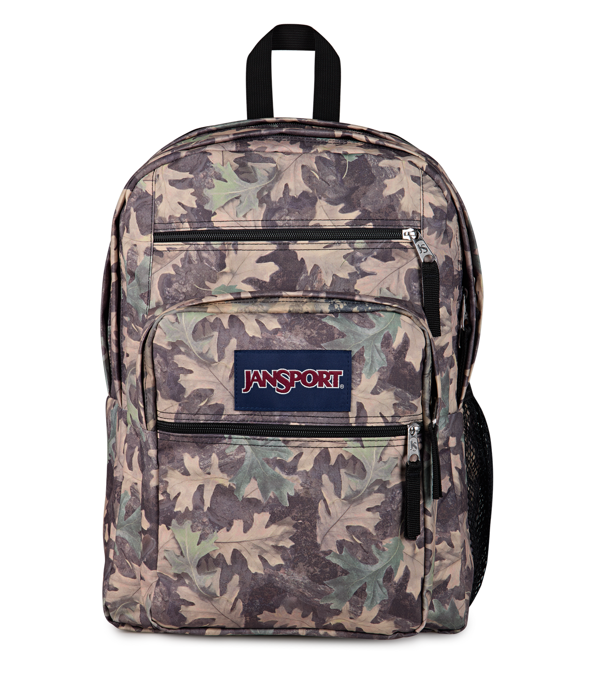 Big Student Faded Sage - ver - 1