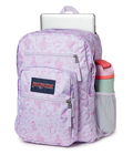 Big Student Faded Sage - ver - 4