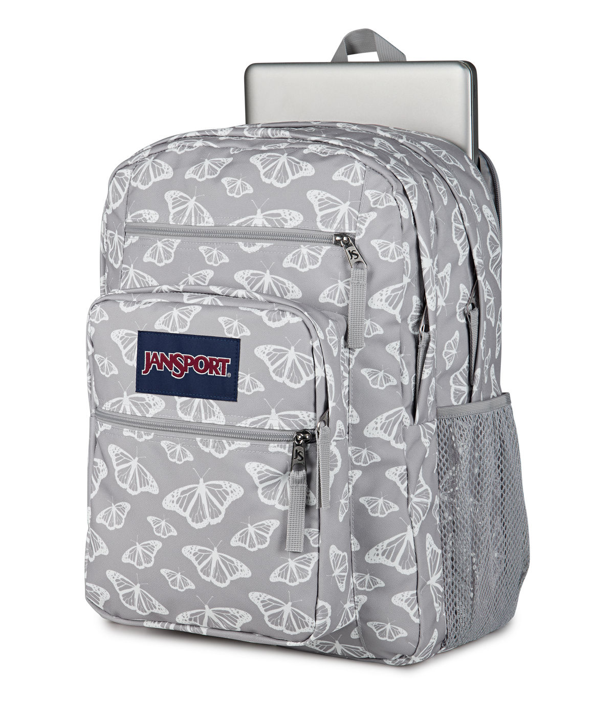 Big Student Faded Sage - ver - 6