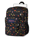Big Student Faded Sage - ver - 6