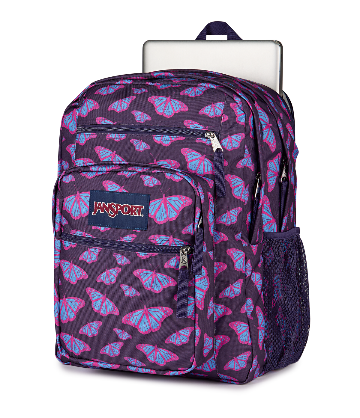 Big Student Faded Sage - ver - 6