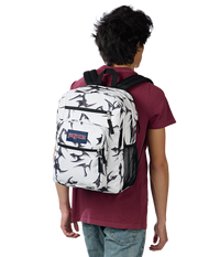 Big Student