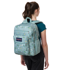 Big Student