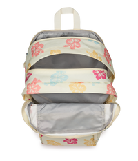 Big Student Hibiscus Baby Bundle
