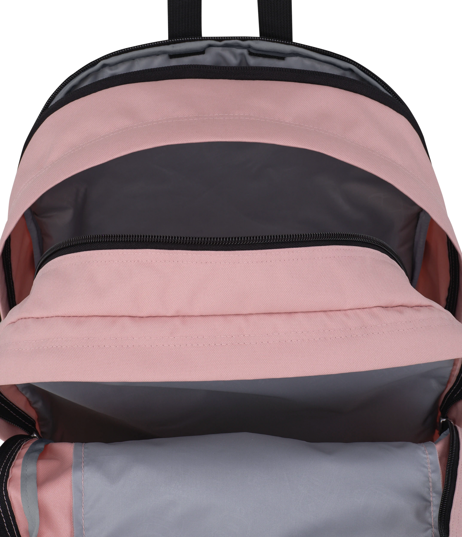 Main Campus Rows of Bows Pink Ice - ver - 7