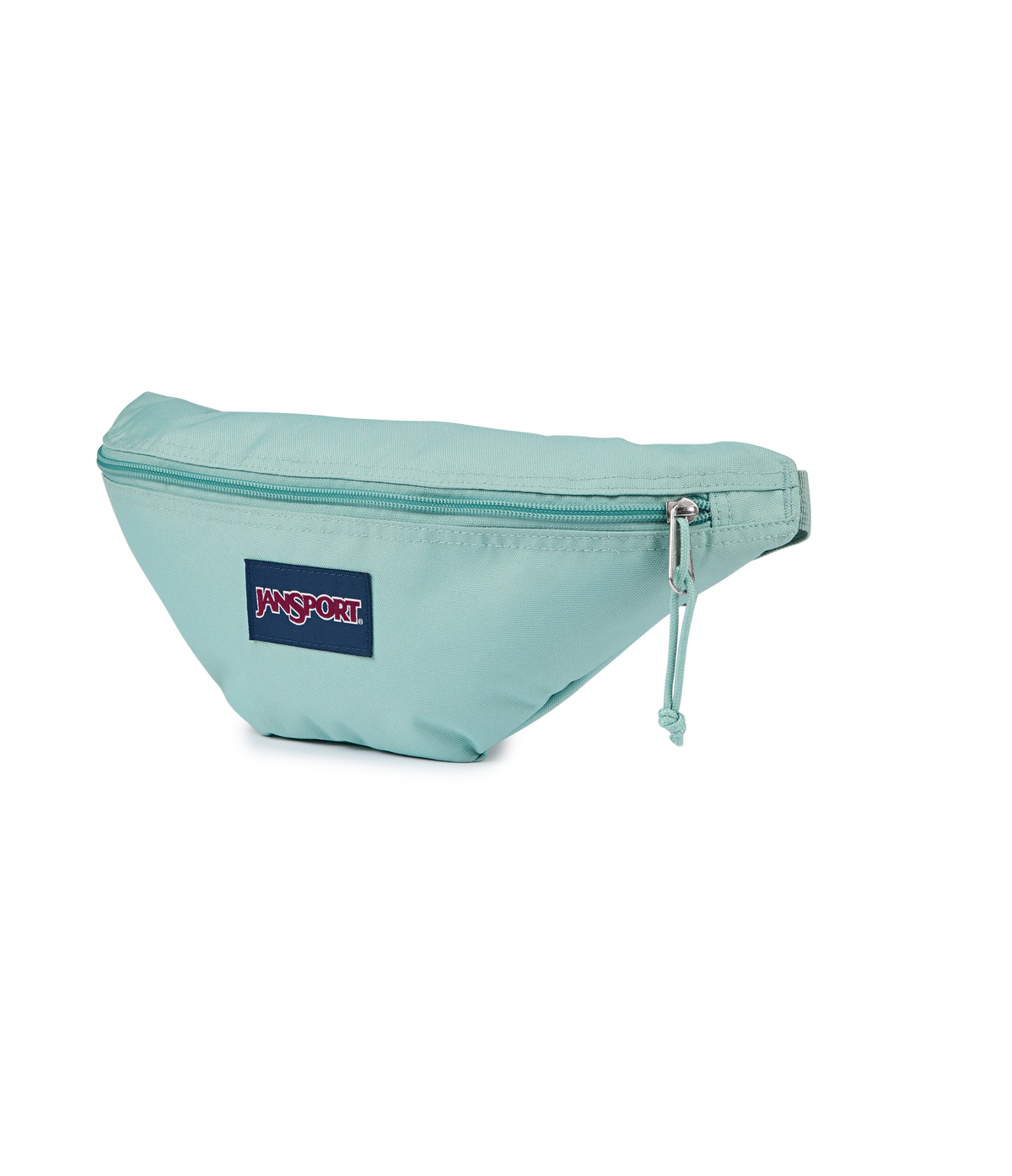 Swing Waistpack Faded Sage - ver - 3