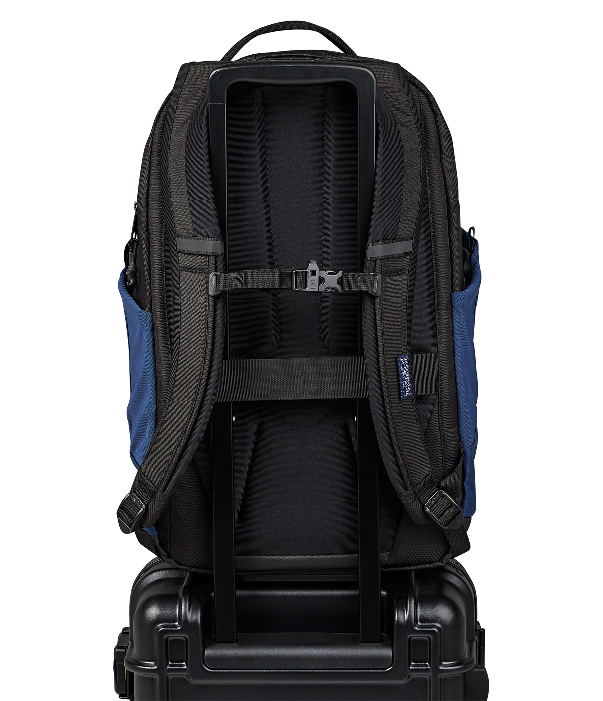 
                
JS0A86EJ003-BACK
              