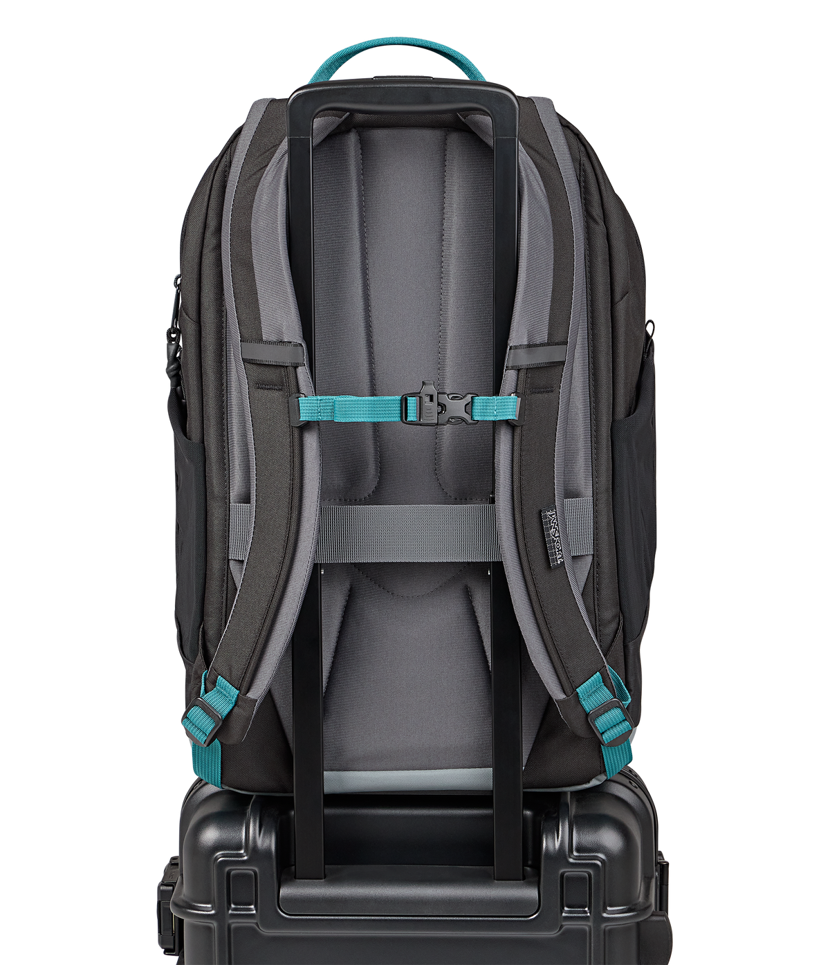 
                
JS0A86EJDMX-BACK
              