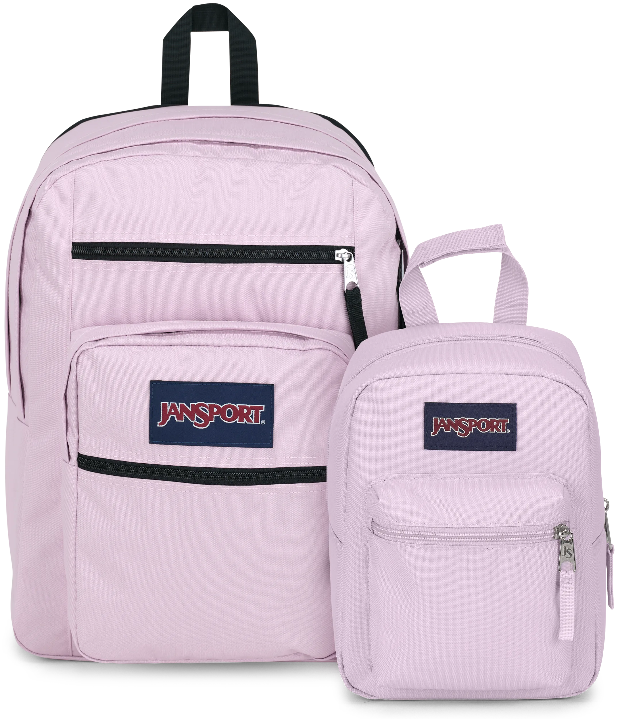 JANSPORTS 公式 リュック ライトパック PINK ICE SUPERBREAK PLUS（スーパーブレイクプラス） PINK ICE （ピンク