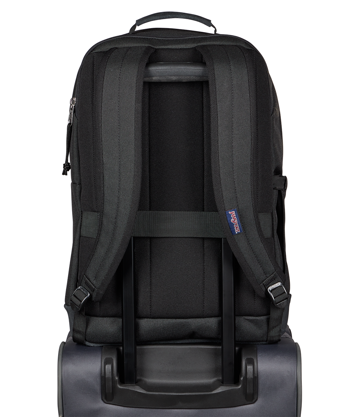 
                
JS0A897Z008-BACK
              