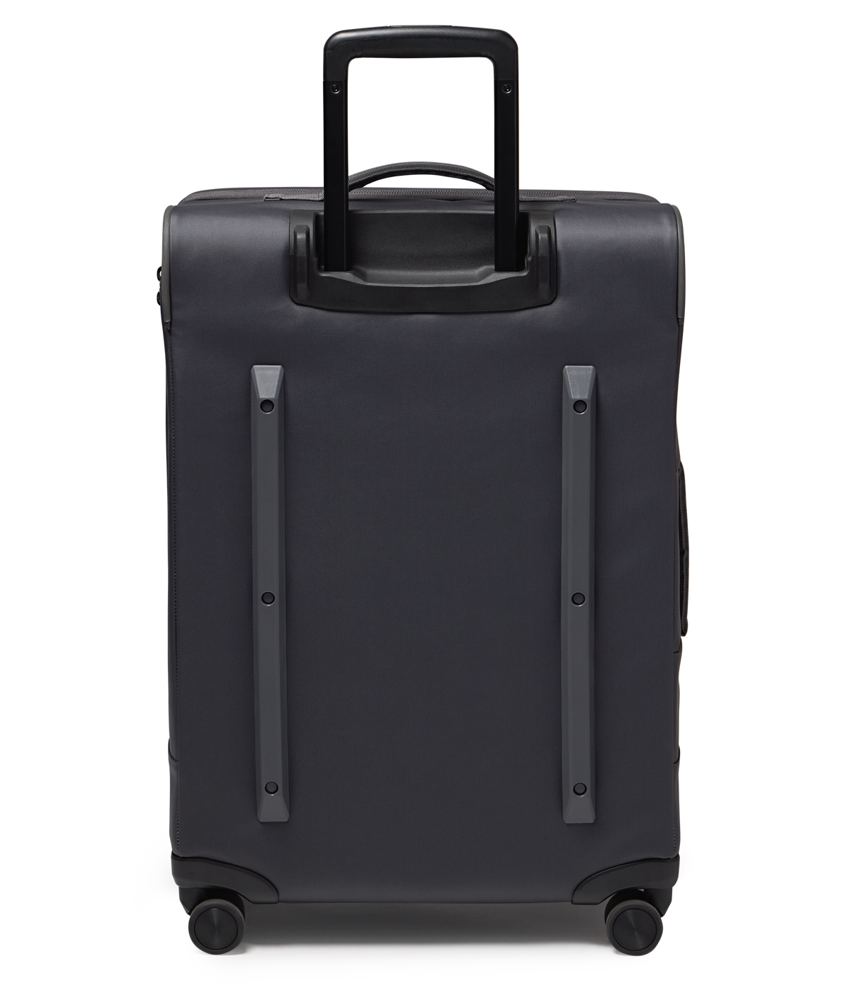
                
JS0A8E8CDMX-BACK
              