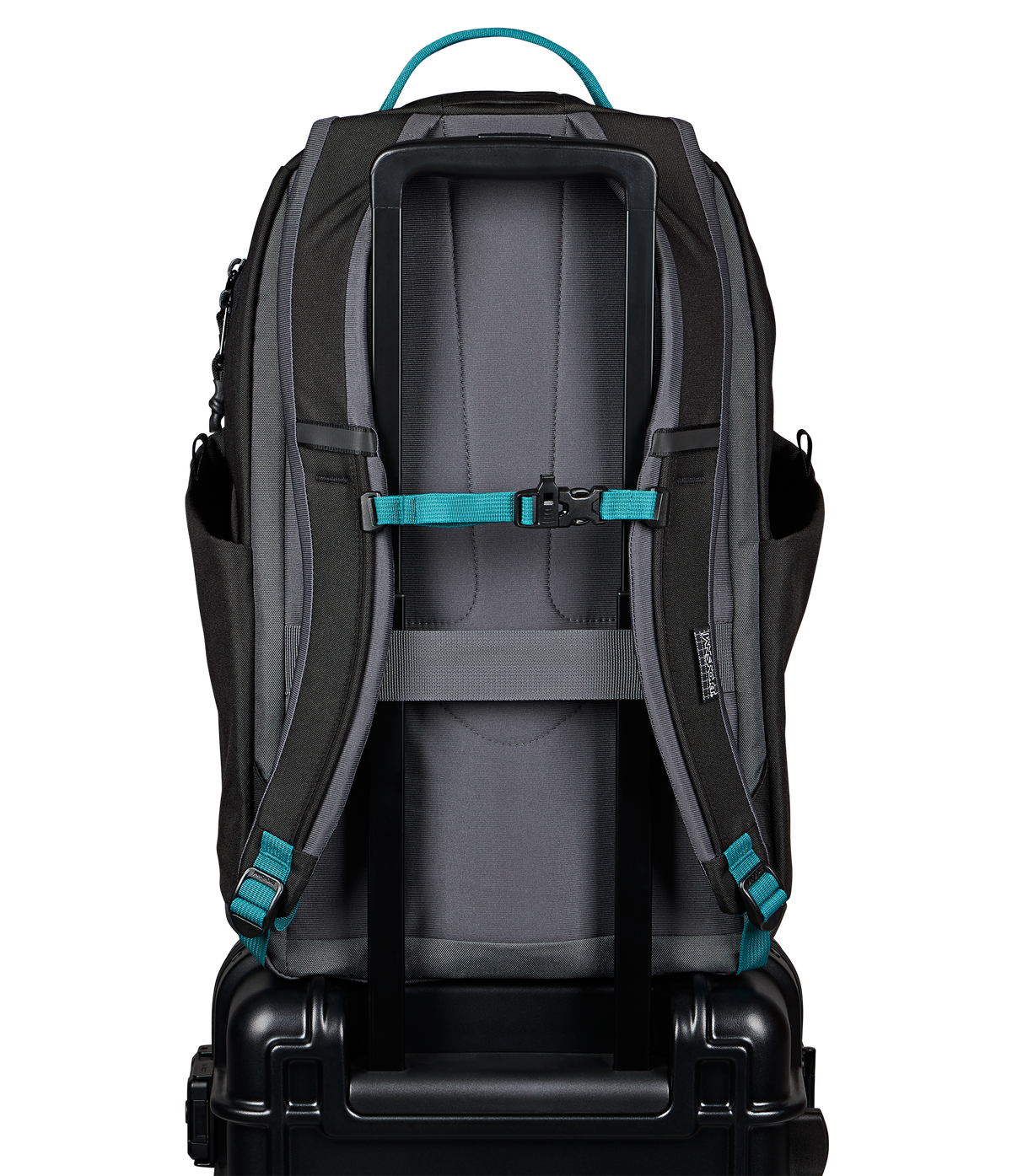 
                
JS0A8E8FDMX-BACK
              